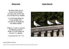 Möwenlied-Morgenstern.pdf